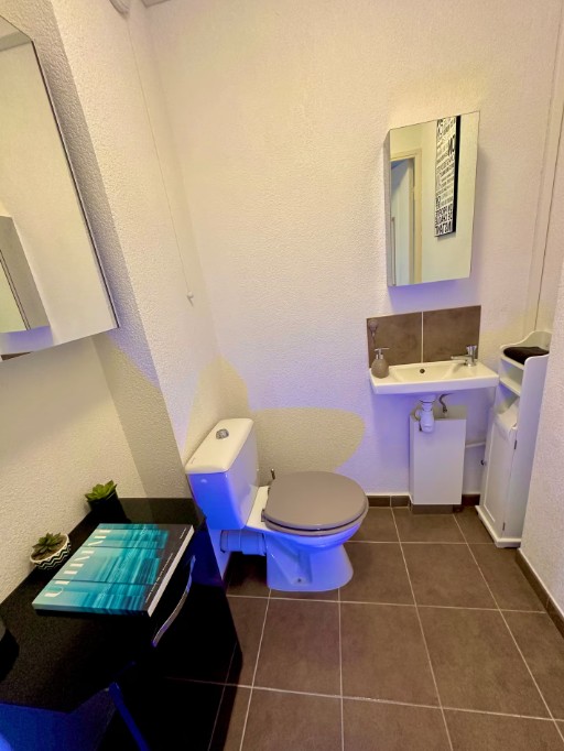 toilettes avec lavabo